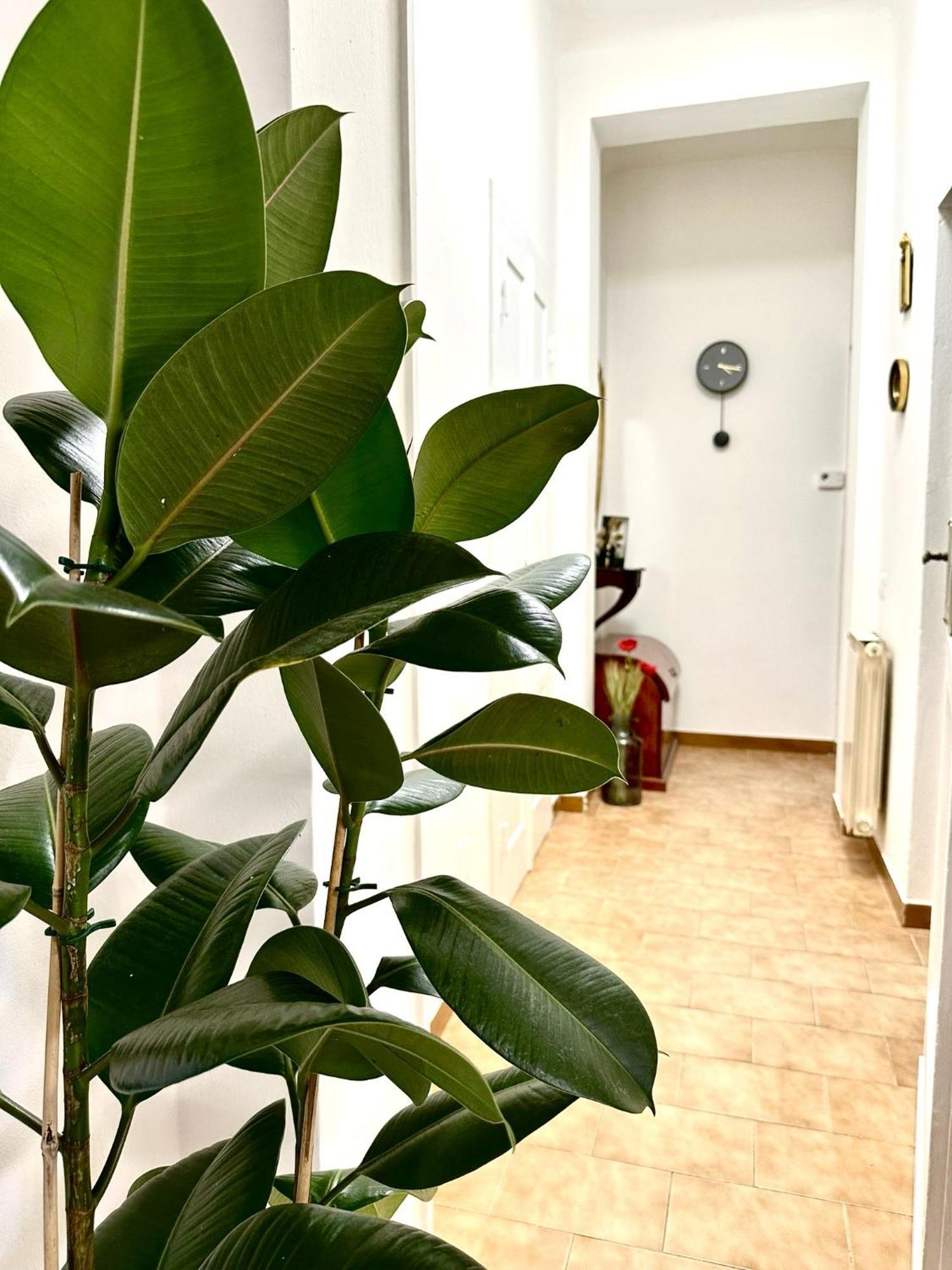 Villa Casa Ganza à Pise Extérieur photo